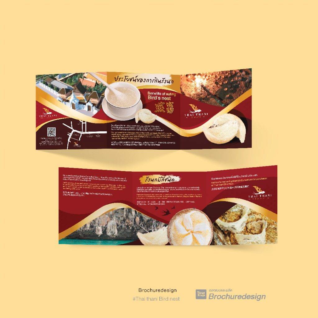 yourimage-Brochure-02